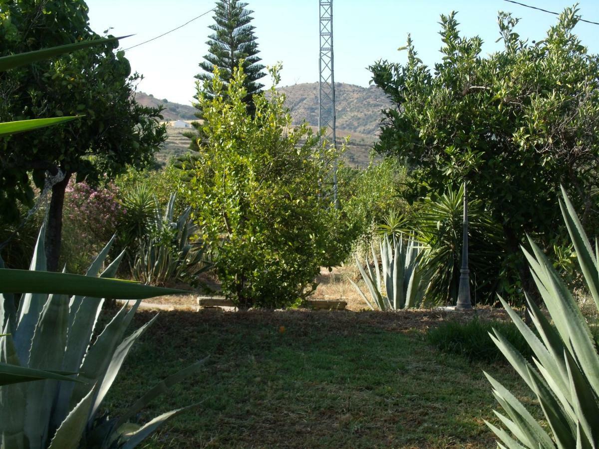 La Finca Blanca Alora Ngoại thất bức ảnh