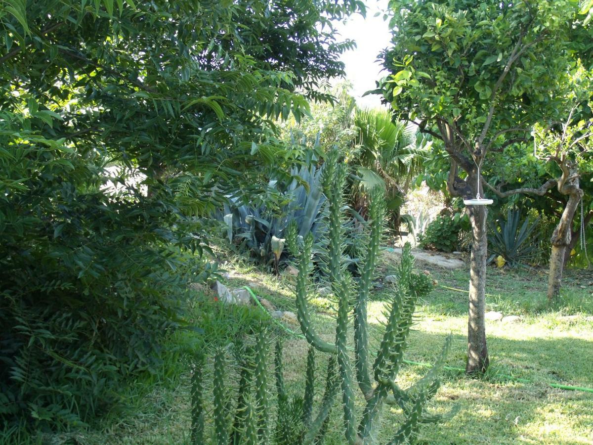 La Finca Blanca Alora Ngoại thất bức ảnh