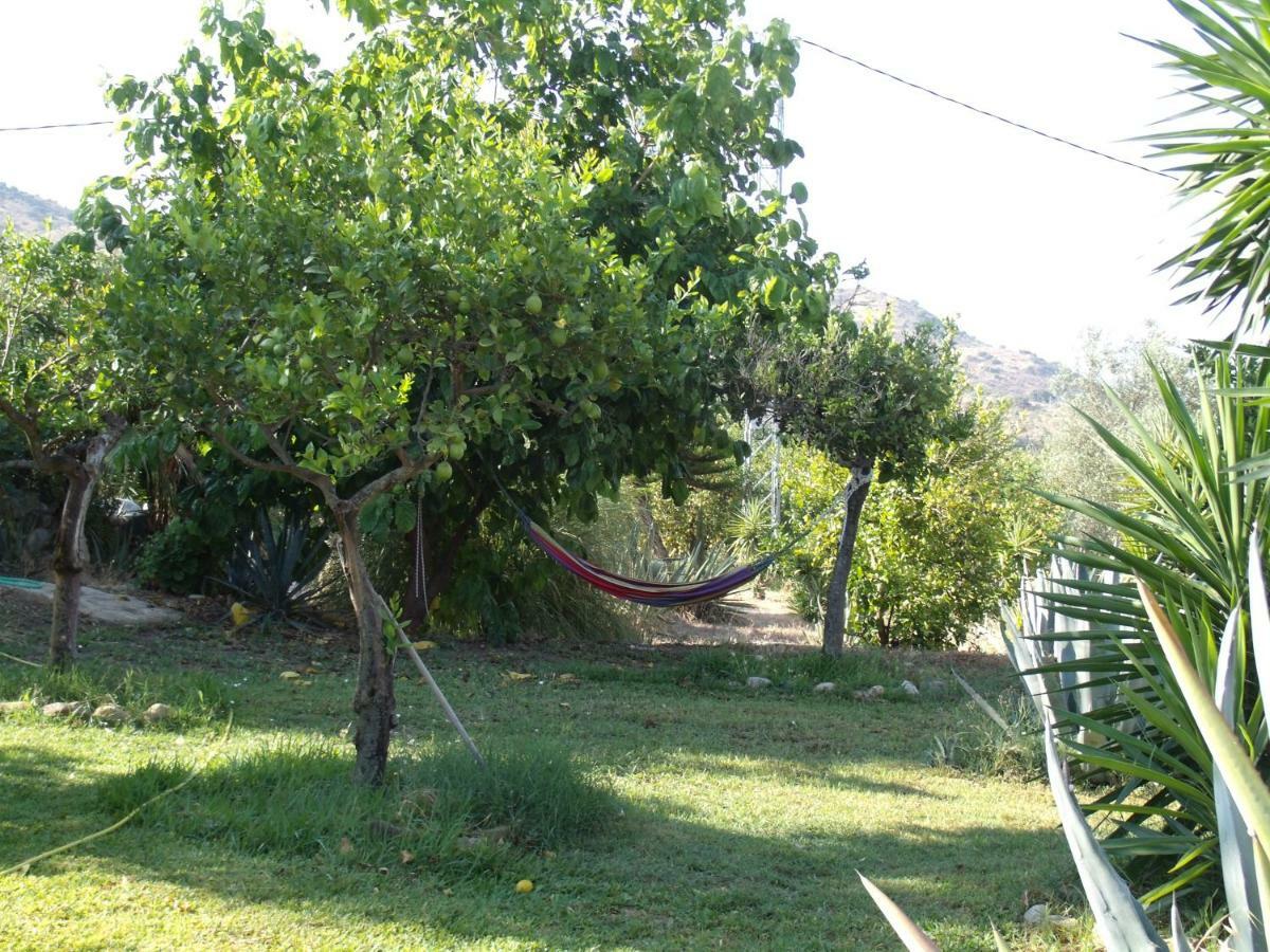 La Finca Blanca Alora Ngoại thất bức ảnh